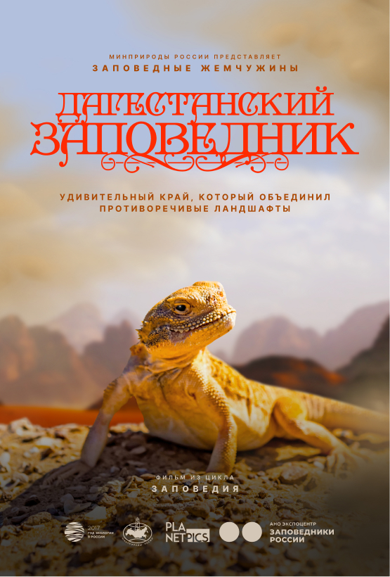 Постер 44 (placeholder)