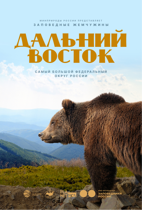 Постер 49 (placeholder)