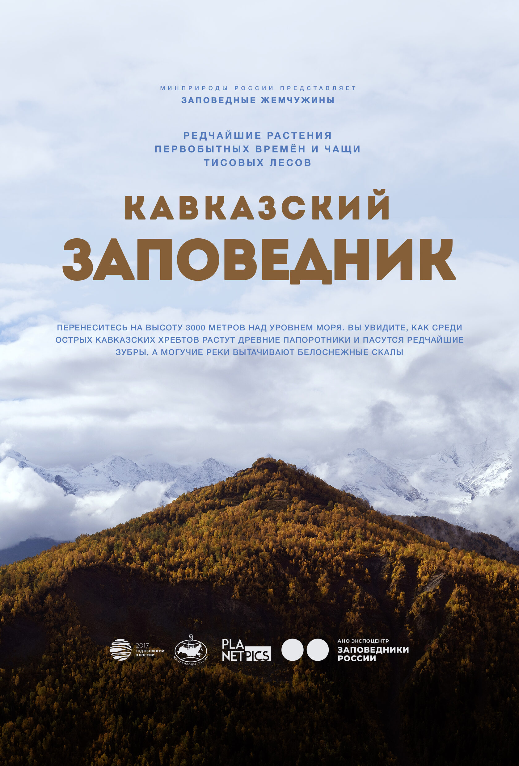 Постер 46 (placeholder)