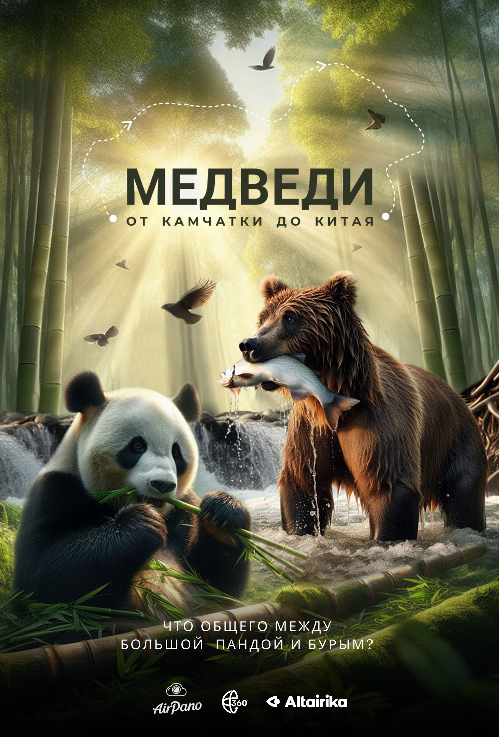 Постер 12 (placeholder)