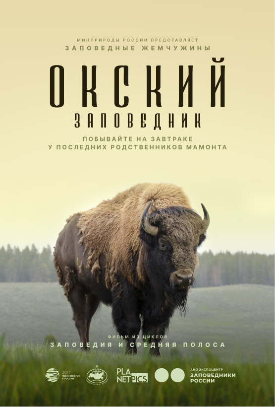 Постер 40 (placeholder)