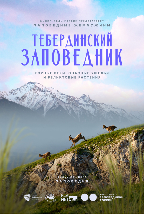 Постер 39 (placeholder)