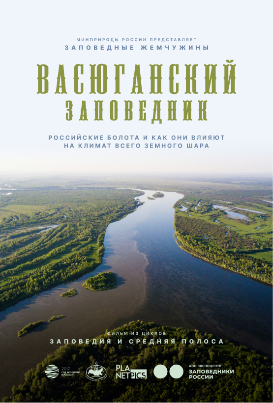 Постер 38 (placeholder)